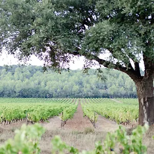 Hébergement de vacances Domaine De Sigalous, La Crau